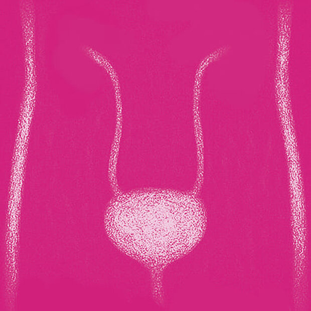 Grafik zum Thema Harnblase