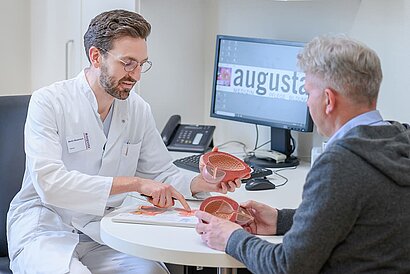 Behandelnder Arzt erklärt seinem Patienten die Prostata mit Modell.