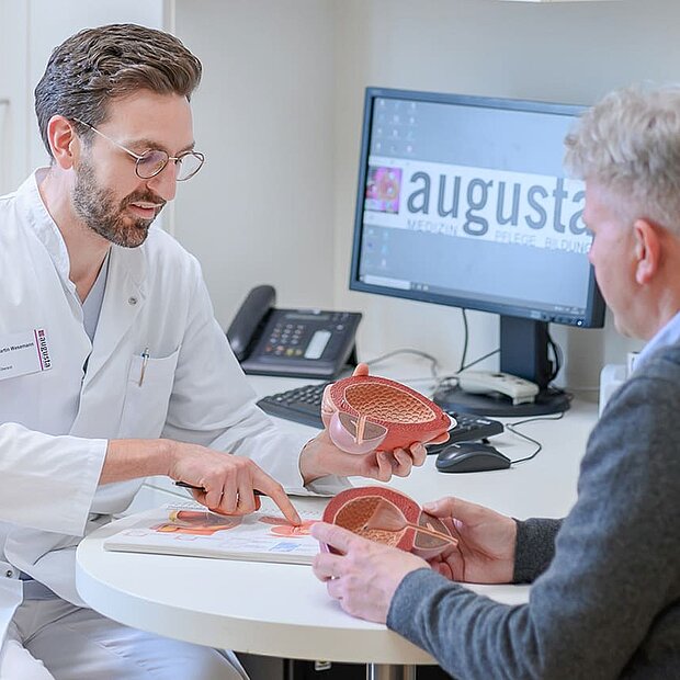 Behandelnder Arzt erklärt seinem Patienten die Prostata mit Modell.