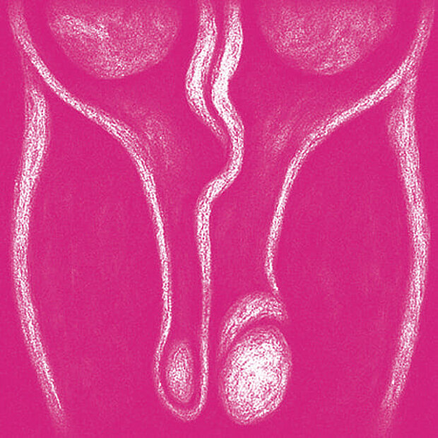 Grafik zum Thema Hodenverdrehung