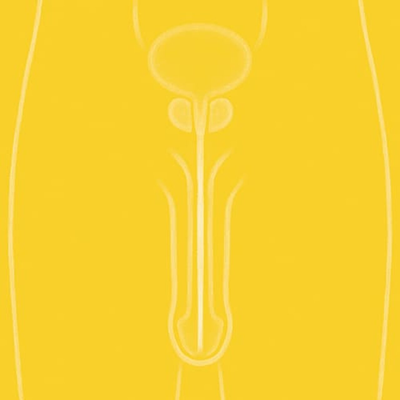 Grafik zum Thema Harnröhre