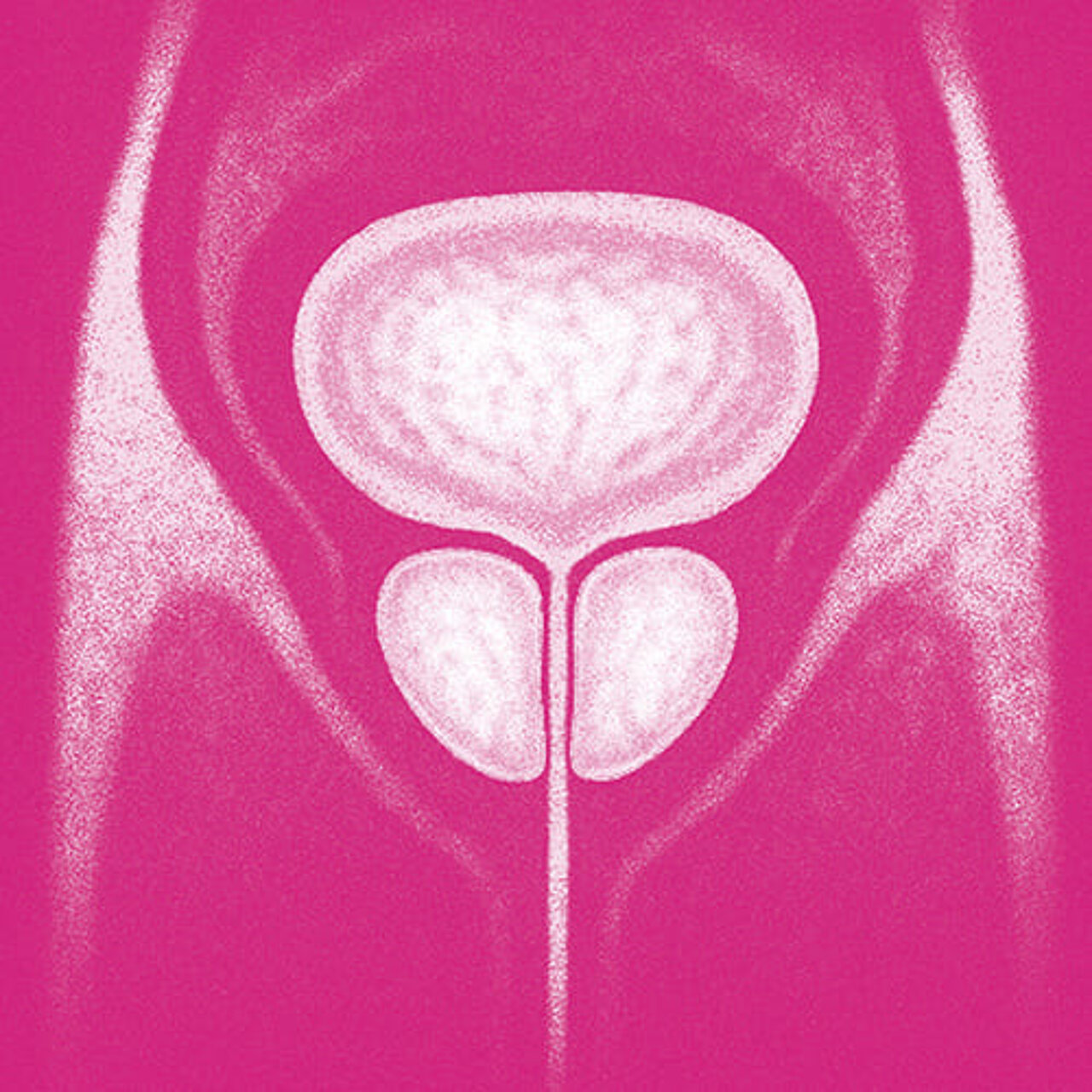 Grafik zum Thema Prostata