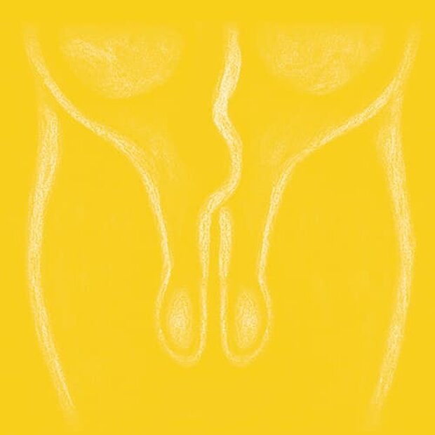 Grafik zum Thema Hoden