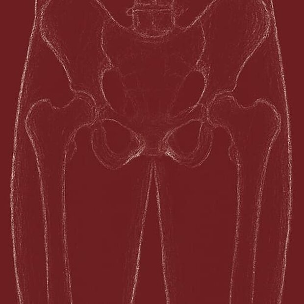 Grafik für das Thema Beckenboden