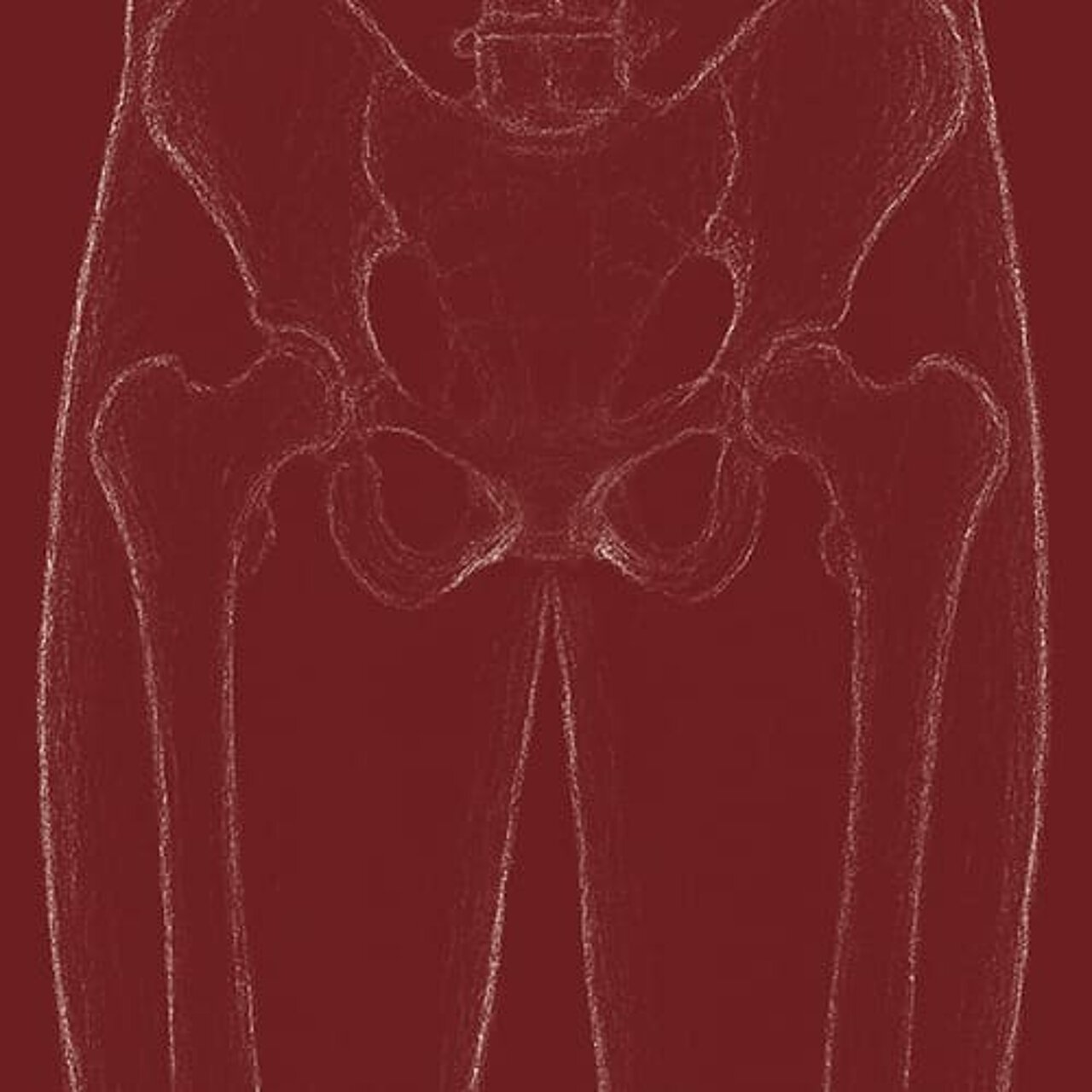 Grafik für das Thema Beckenboden