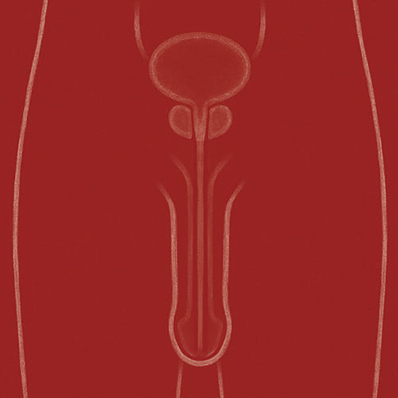 Grafik zum Thema Peniskarzinom
