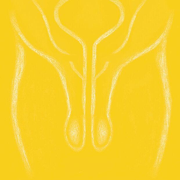 Grafik zum Thema Sterilisation beim Mann