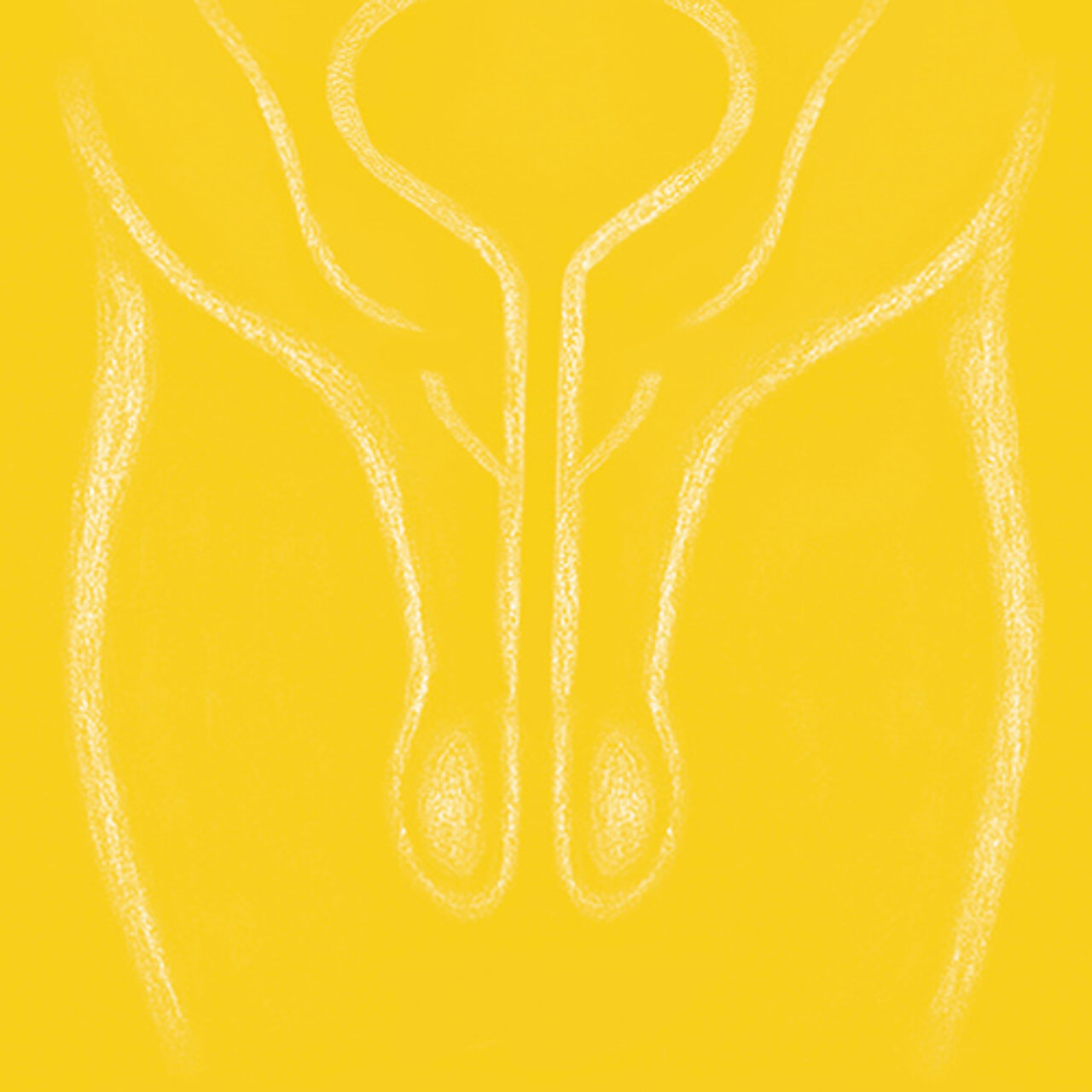 Grafik zum Thema Sterilisation beim Mann