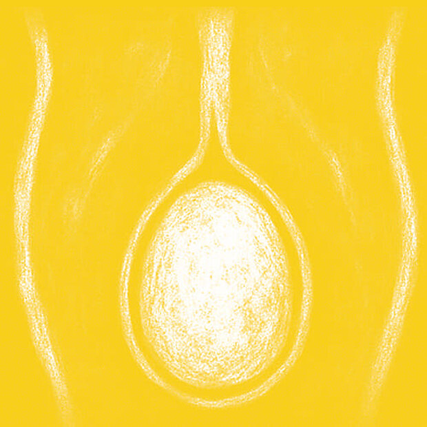 Grafik zum Thema Wasserbruch